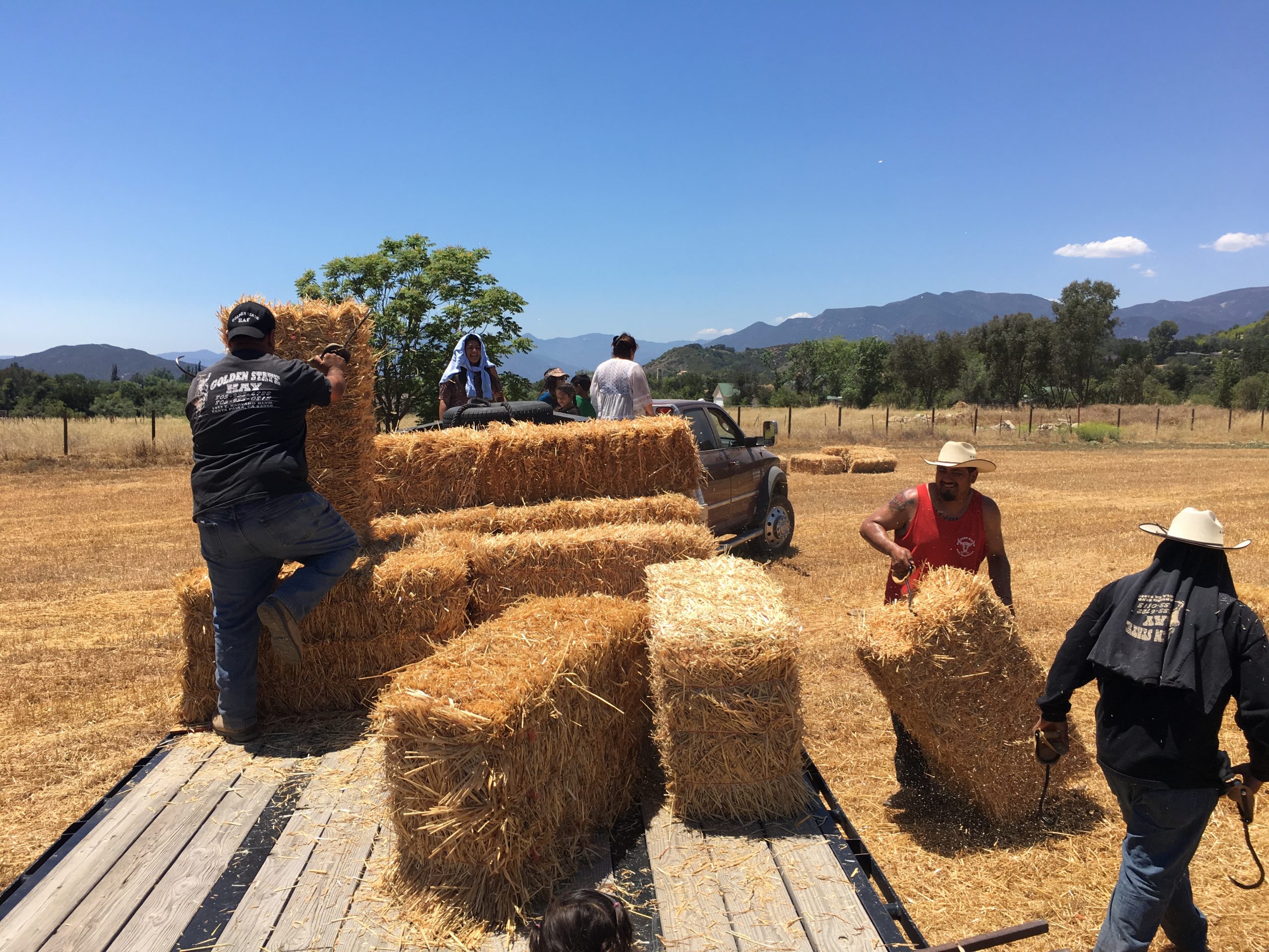 Familia en el campo