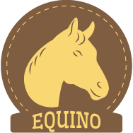 Equinos